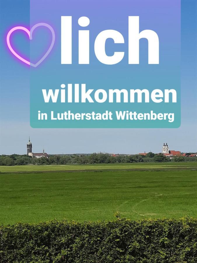 Ferienwohnung Mit Elbwiesenblick Wittenberg 外观 照片