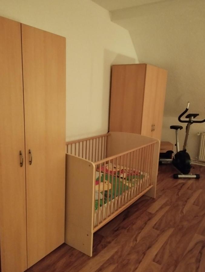 Ferienwohnung Mit Elbwiesenblick Wittenberg 外观 照片